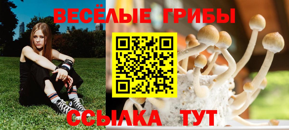 Пенза  Галлюциногенные грибы GOLDEN TEACHER  Вход с VPN 